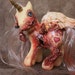True Love - Zombie My Little Pony Unicorn Pegasus with Heart - Gore - Mature - WHOA Team