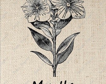 Digital Download for Iron on Transfer Myrtle Flower