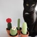 Crochet Cactus Amigurumi Plant Set of Eight for bdarrow