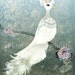 art print --Glamorous Winter Plumage