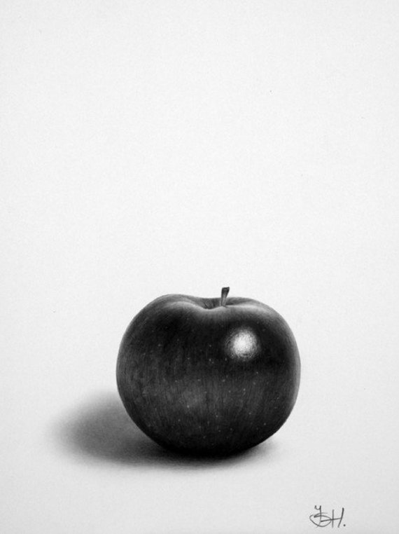 Still Life Apple Pencil Drawing Fine Art Signed Print