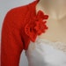 The Scarlet Letter