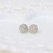 RESERVED for DARLA - Sparkling Silver Glitter Studs
