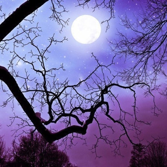 Surreal Purple Photograph/ Full Moon/ Nature Art/ by Raceytay