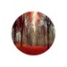 Nature Photography Print- Modern Rustic Wall Decor- orange red brown- Man Cave Wall Art