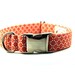 Coral Posies Fabric Dog Collar - Plastic Buckle