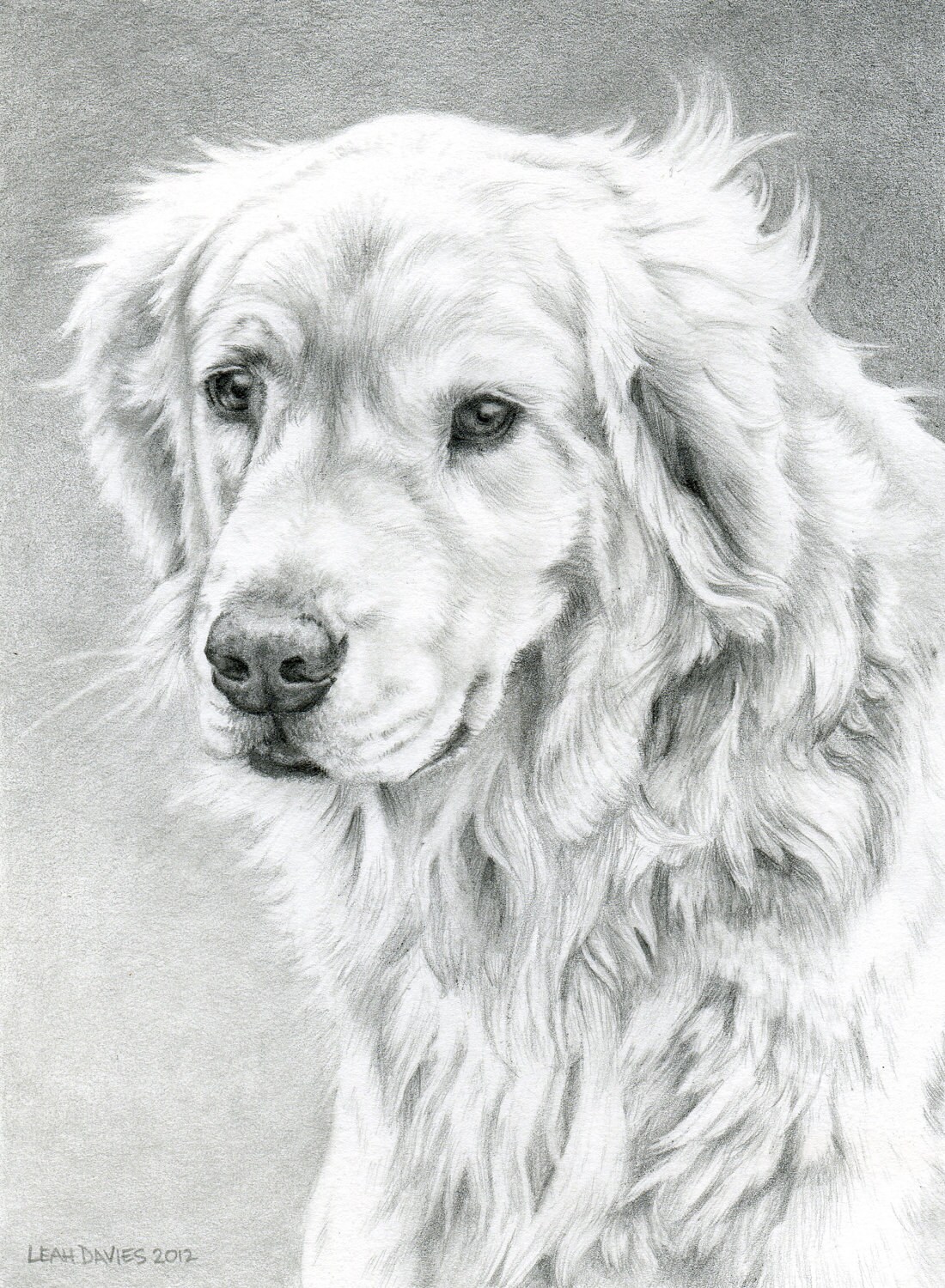Custom Pet Portrait in Graphite 5x5 or 5x7