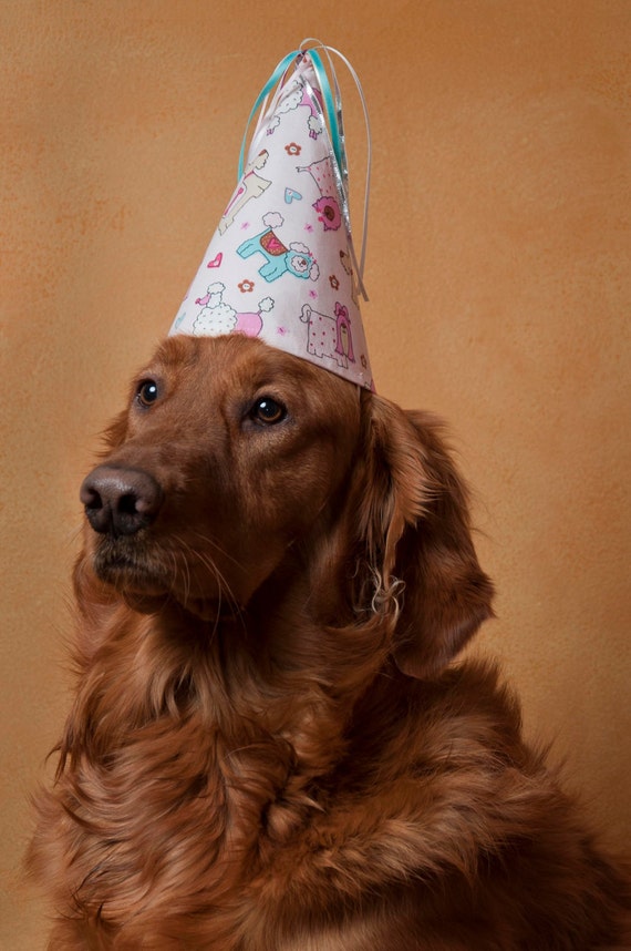 Dog Party HatBirthdayChildrenParty HatPink