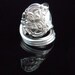 Antique Silverware Jewelry Spoon Ring - Orange Blossom