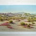 western desert print - norman yeckley - vintage southwest landscape picture