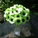 Poppy Love Paper Flowers - Lime Green colors - set of 24 on STEMS