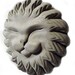 Sleeping SUN Cat Plaque Great LEO Gift ~ Last One!