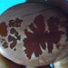 Apache Sage Designer Cabochon (900001)