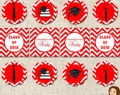 PRINTABLE Male Graduation Party Circles (Color of your choice) Il_170x135