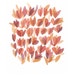 Original painting watercolor painting Open Up orange peach coral pink flowers Rose petals floral painting
