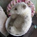 Sewing Pattern for little Polar bear Maritimus, e-pattern.