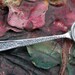 Vintage Sterling Open Cellar Salt Spoon