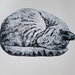 Original Cat Art Sleeping Cat Limited Edition Hand-Pulled Collograph Print