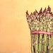 Watercolor and Sharpie Asparagus Bunch Painting Original