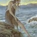 The Selkie 8.5x11 Signed Print