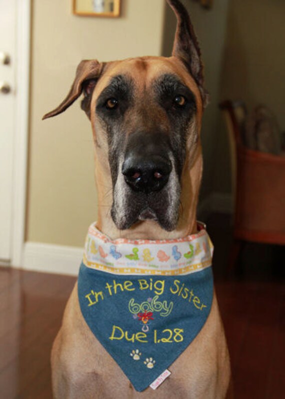 Items similar to I'm The Big Sister/Brother - Dog Bandana Large on Etsy