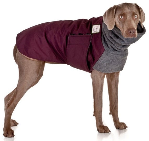 WEIMARANER Winter Dog Coat Dog Coat Winter by VoyagersK9Apparel