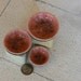 A Set of Tiny Porcelain Bowls in melon and black glazes