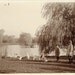 Vintage Photo "Children and Geese", Photography, Paper Ephemera, Snapshot, Old Photo, Collectibles - 0002