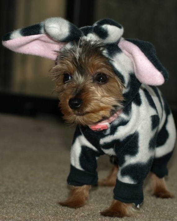 Cow Costume for Teacup Dogs DISCOUNTED