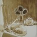 Sleeping Cat- Original Walnut Ink Drawing by Anne Carrozza