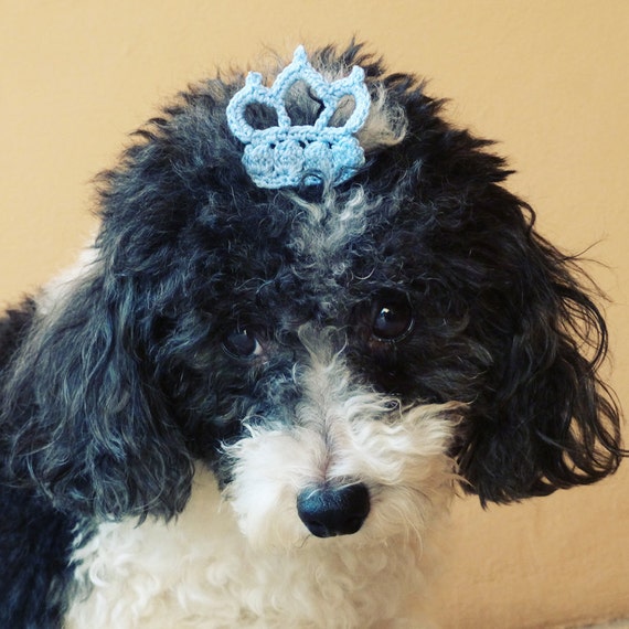 Crochet  Applique Pattern Prince Crown - pdf beginner ebook how to DIY - pet accessories cozy dog PDF tutorial