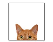 Cat, nature photography, orange cat, tabby cat, funny, silly, note cards, Blank Inside Greeting Card, SET OF 4 Cat, nature photography, orange cat, tabby cat, funny, silly, note cards, Blank Inside Greeting Card, SET OF 4