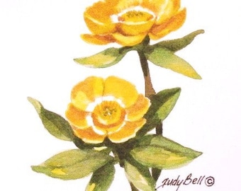 Yellow Buttercup, Wildflower Print, Watercolor Painting