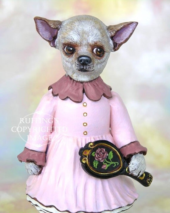 doll face chihuahua