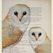 2 owls- Original Illustration-Art Print-Art Poster- Hand Painting Mixed Media- Kids Wall Art Dictionary Dorm Decors Forest Nursery