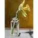 Single Daffodil Orange Stripe