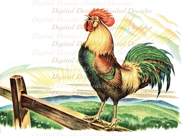 clipart rooster crowing - photo #48