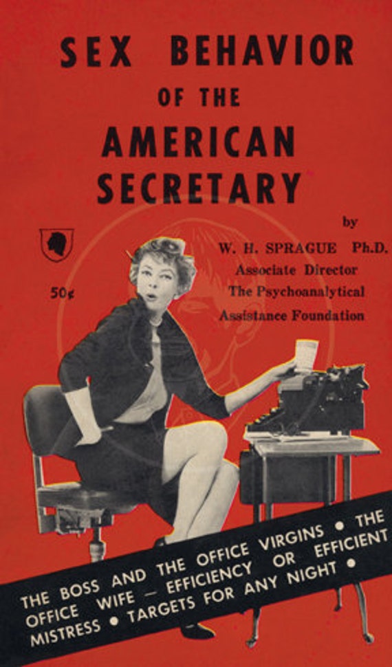 Sex Behavior Of The American Secretary 10x17 Giclée Canvas 1393