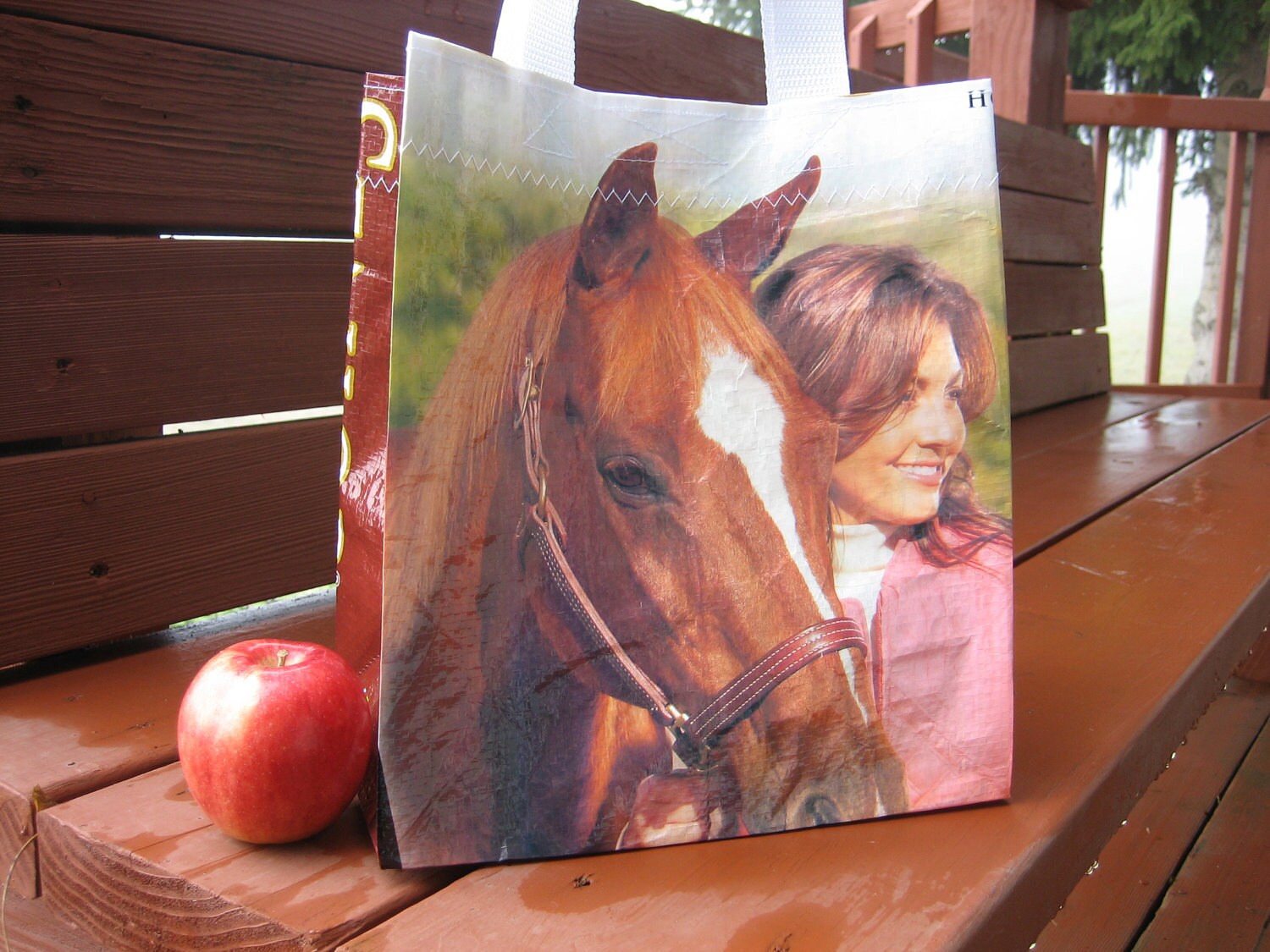 Lunch Tote Recycled Horse Feed Bag Small Purse by FarmtownTotes