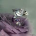 Reserved Listing for Aaron - Pearl Engagement Ring with Matching Band