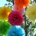 Birthday Party Decorations / 7 Hanging Tissue Paper Pom Poms / Pick your Colors