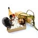 Robb Stark and Sigil Shield Catnip Cat Toy Gift Box