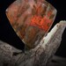 Plume Agate, Woodward Ranch Designer Cabochon