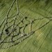 Gothic Bib Necklace - Sterling Silver Chain Spiderweb with Black Onyx - Modern Jewelry by Jyoti McCall