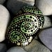 Emerald Cosmos / Painted Rock / Sandi Pike Foundas