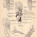 Vintage Anatomy Print, Antique Artistic Human Anatomy Charts, 1930s Prints to Frame, Foot Ligament Bone Chart, Double Sided