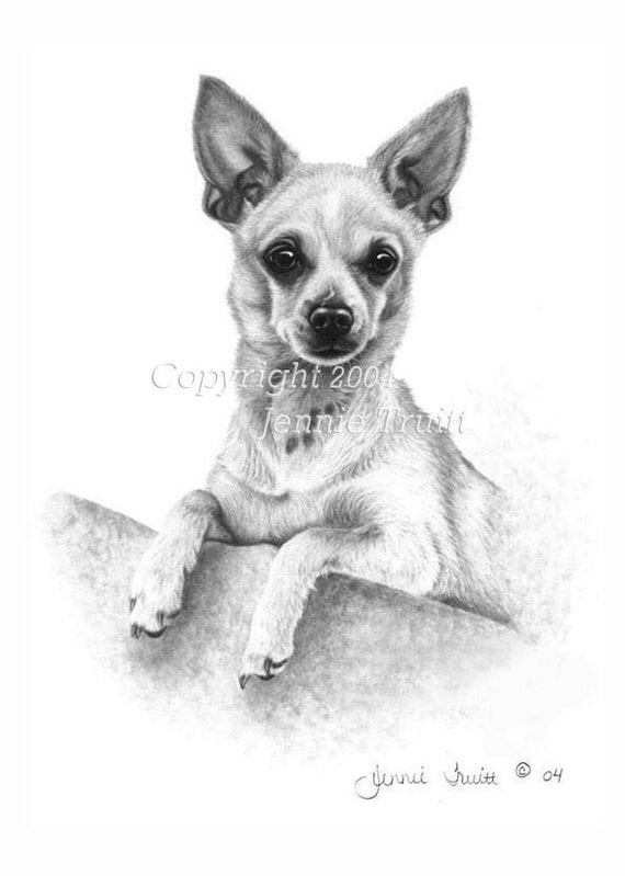 11 x 14 Deer Chihuahua Art Print from Original Pencil Drawing