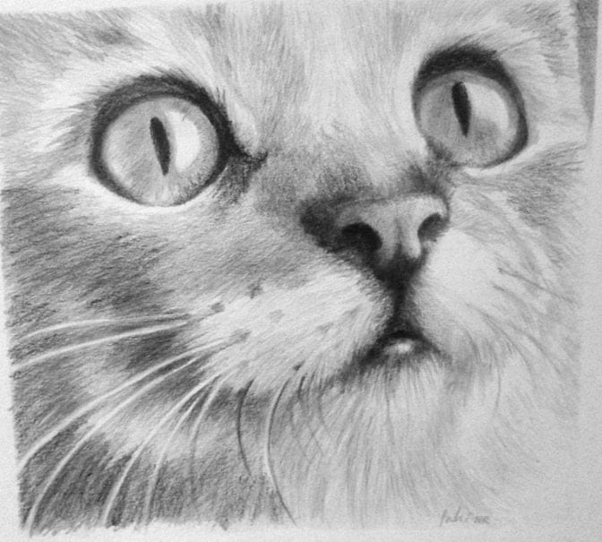 Kitty Cat Original Drawing Peek a boo by AtelierByElla on Etsy