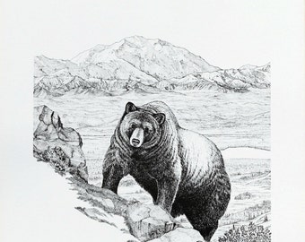 Items similar to Limited Edition 'Big Grizzly Bear' Print from the ...