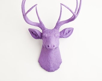 Faux Taxidermy - The Emma - Lavender Resin Deer Head- Deer Antlers Mounted- Faux Head Wall Mount by White Faux Taxidermy Wall Decor